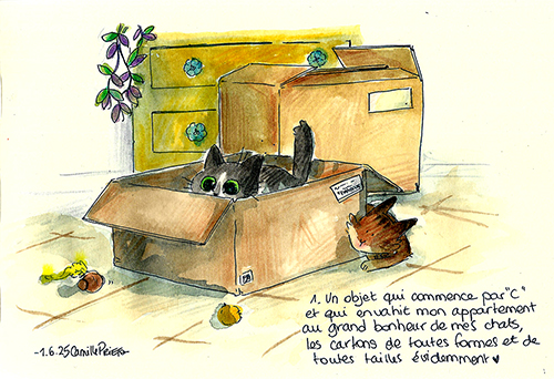 Camille PRIETO, juin 2025