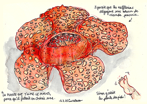 Camille PRIETO, juillet 2025