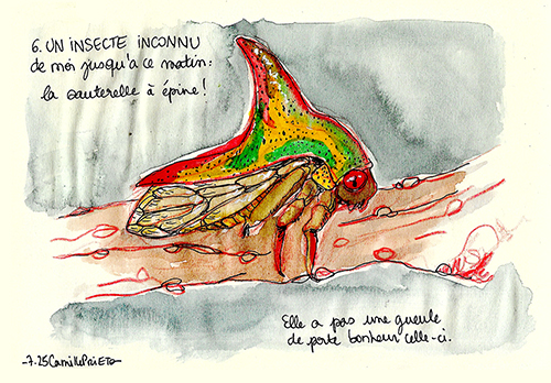 Camille PRIETO, juillet 2025