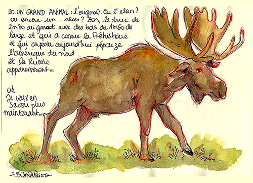 Camille PRIETO, juillet 2025