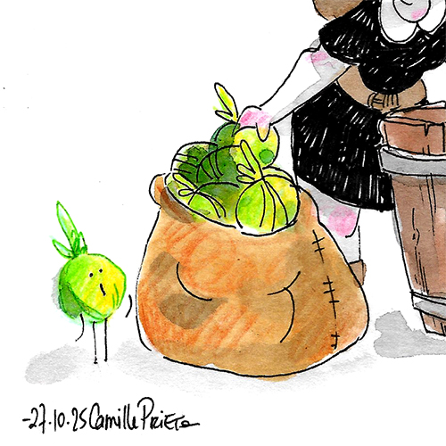 Camille PRIETO, oct. 2025